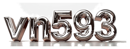 vn593 logo